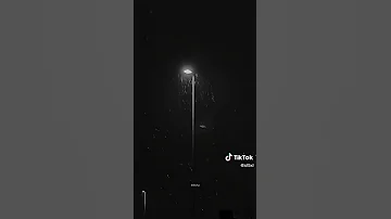 ولدت من جديد حينما رئيت ذالك طفل بريئ يمشي والضلام حالك 