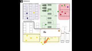 Movement Behavior of Warehouse Workers in Live Time Tracking with WorkScore.ai