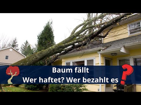 Video: Was deckt die Versicherung, wenn ein Baum auf Ihr Haus fällt?
