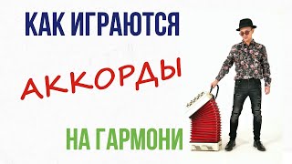 Аккорды на гармони