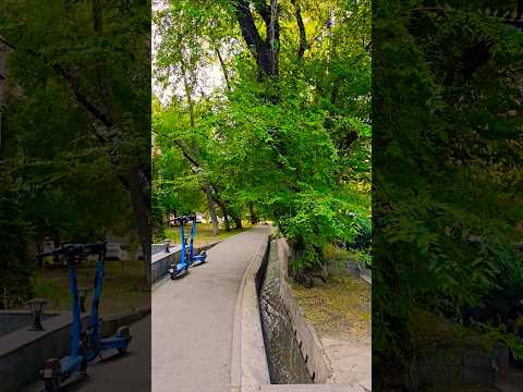 Алматы, Орбита, вдоль дорог арыки, по которым течёт чистая вода #walkingtour