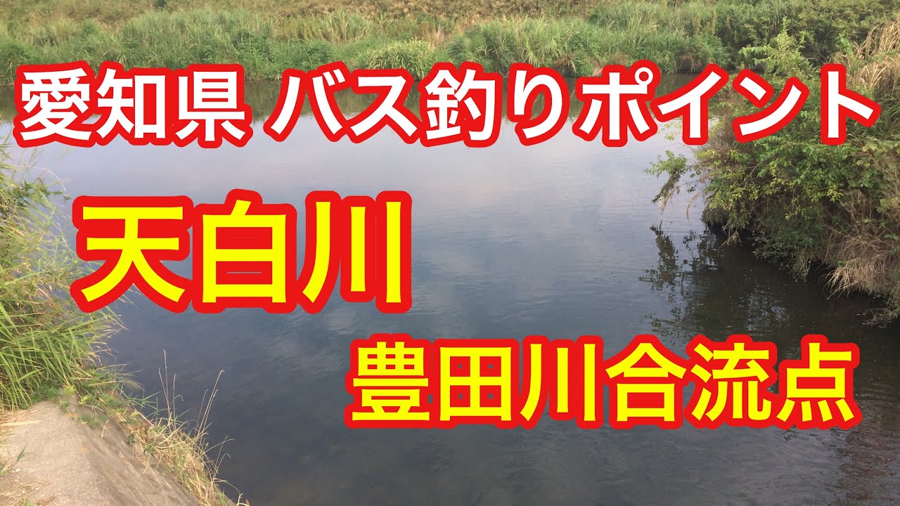 天白川 豊田川合流点 愛知県 バス釣りポイント ブラックバス Youtube
