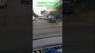 шофир хамаси яхши буладими #like #shot #video #подписаться