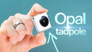 The Opal Tadpole - smallest webcam I