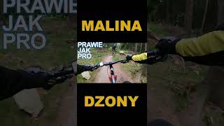 #bike #malina #dzony #mtb #proplayer #single