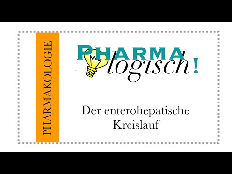 Der enterohepatische Kreislauf