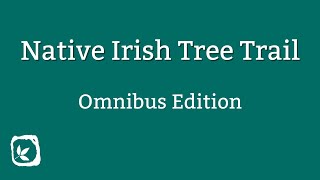 Irish Tree Trail - Omnibus Edition