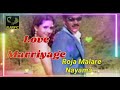 Roja malare nayama tamil audio song  love marriyage movie
