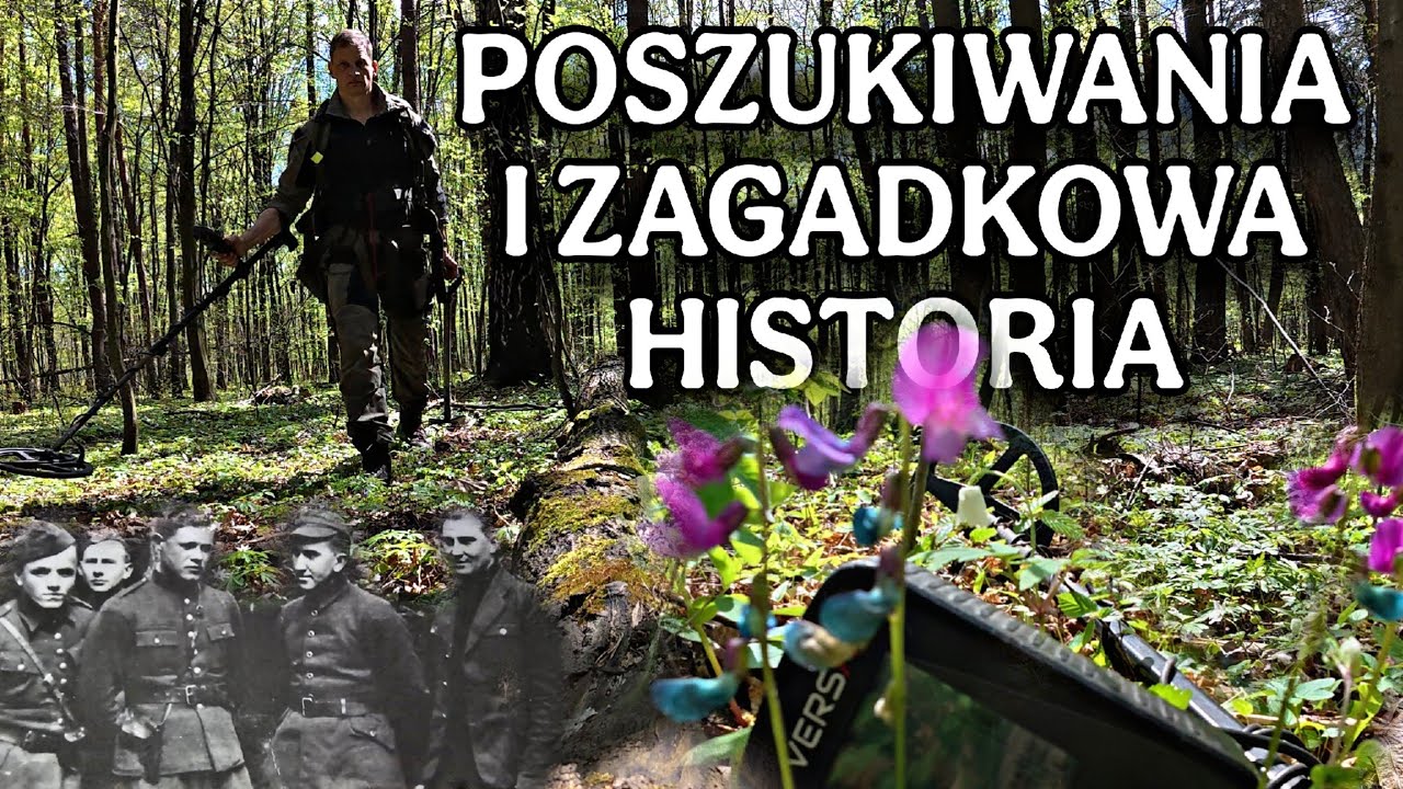 Poszukiwania w pięknym lesie i zagadkowy temat kradzieży broni z magazynów Armii Krajowej