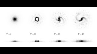 Galactic Disk Evolution: A P3M Algorithm Analysis