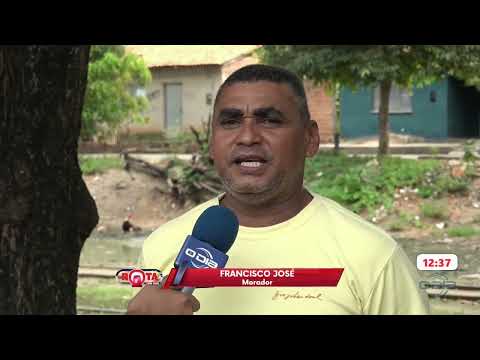 Morador denuncia envenenamento de animais no povoado areias, em Timon 25 03 2026