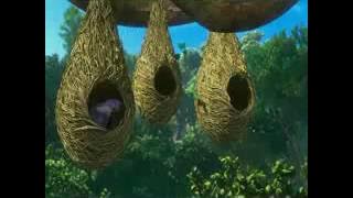 Ore bangladesher meye......for baby