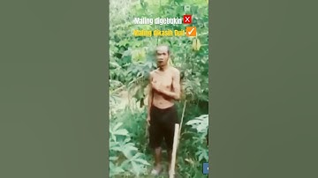 Maling Singkong Ketahuan, Endingnya Malah Bikin Ngakak 🤣😂 #lucu #ngakak #funny #hiburan