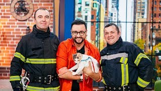 Pompierii-eroi care au salvat 4 animale isi spun povestea