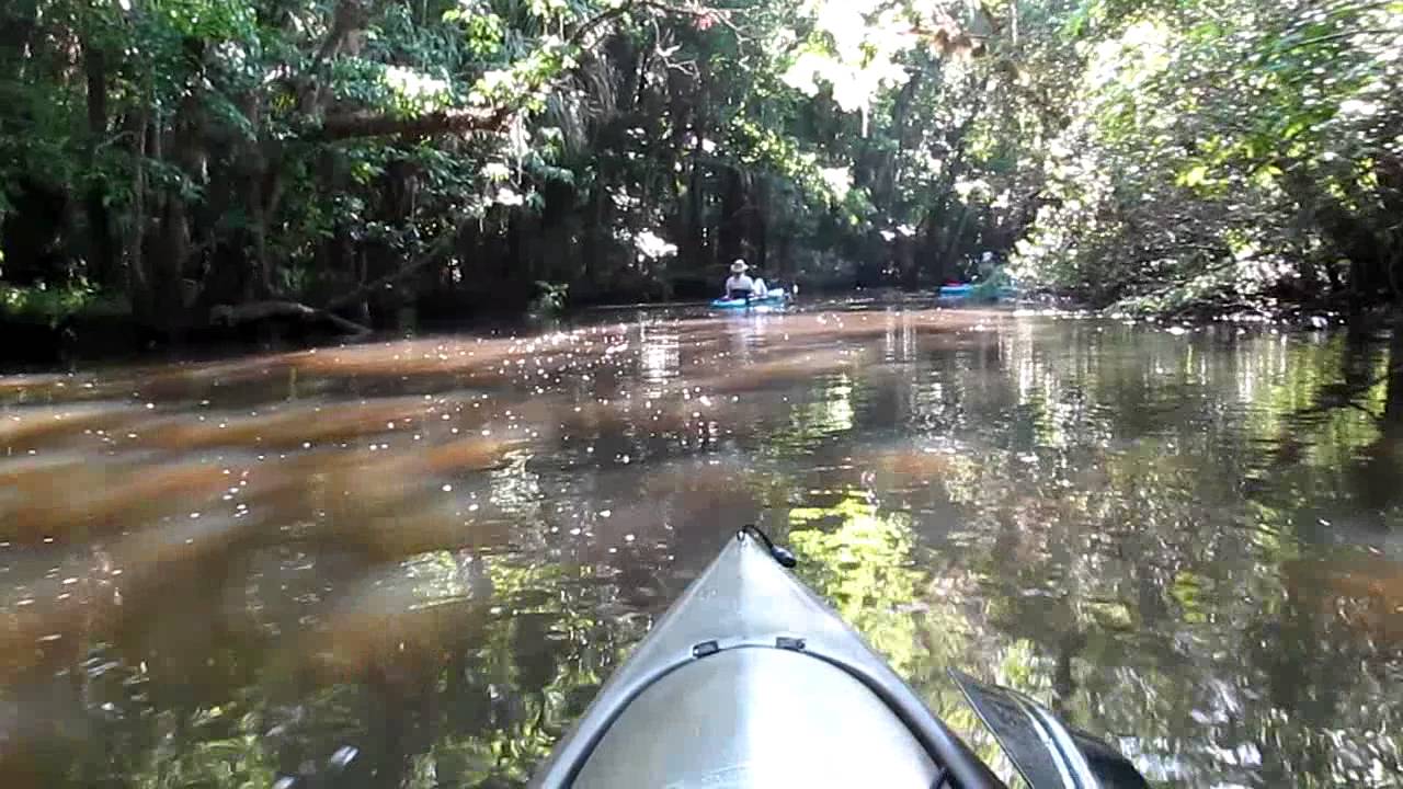 Kayaking on Spruce Creek (Port Orange, FL) 04/01/2012 (Video 1) YouTube