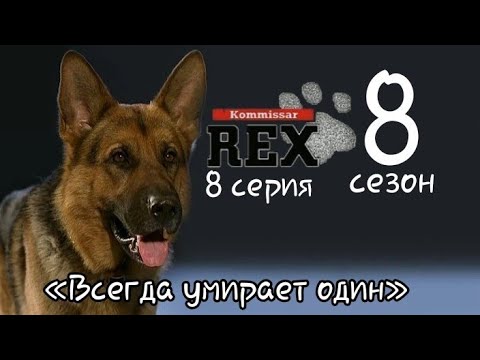 Комиссар рекс 8 сезон 8 серия