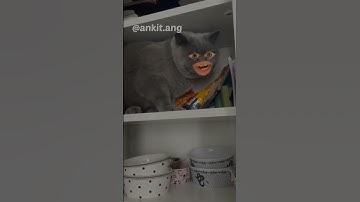 my first vlog ♥️.||#myfirstvlog2022#myfirstvlogvirel#myfirsyvlogonyoutibe#howtovirelvlog