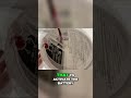 Smoke Detector Hack: Easy Install &amp; Battery Activation! #shorts