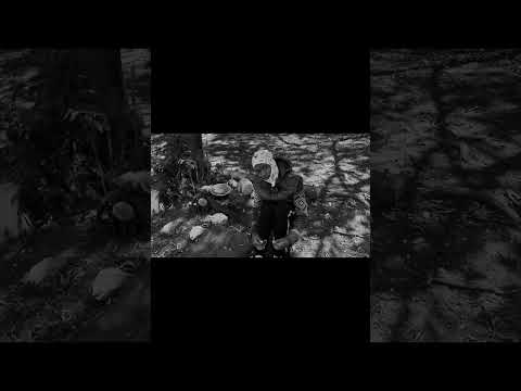 Bakindaga Shazam It Now Bilibengbengprime Symorapper