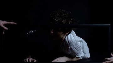 Disdain Sublime And Indifference