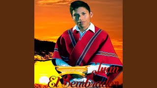 Tuyo Soy