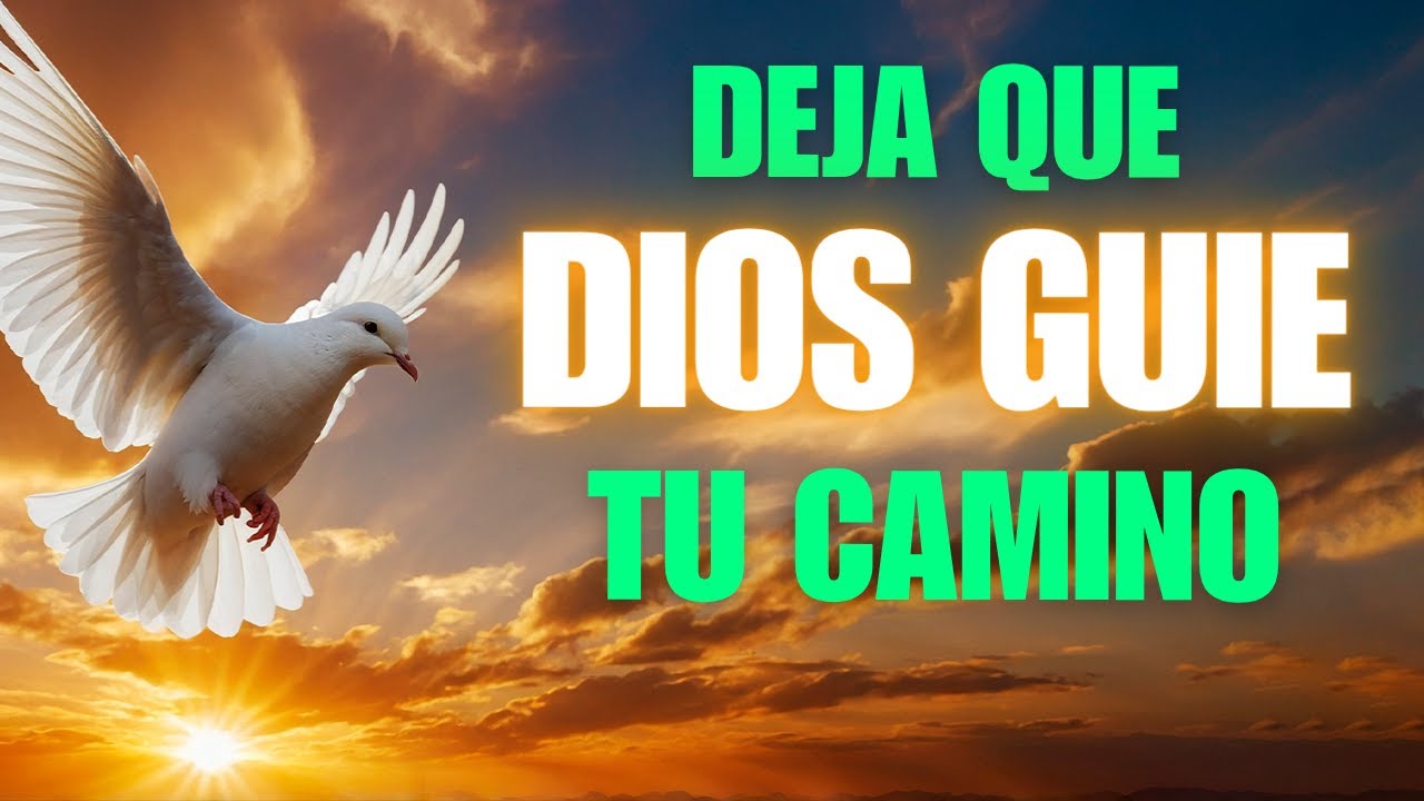 Deja que Dios te guíe hoy — Su camino siempre es el mejor | Oración de ...