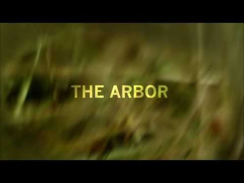 The Arbor