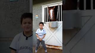 Relator de carrera
