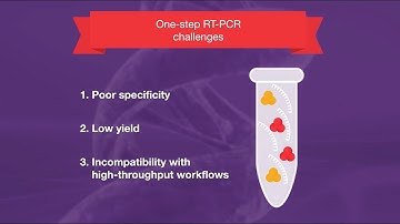 Efficient Reverse Transcription PCR Workflow Using SuperScript™ IV