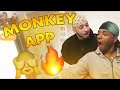 Rate US 1-10 /// MONKEY APP (GONE SEXUAL)