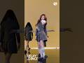 제 시선의 중심은 스텔라입니다 | 릴레이댄스