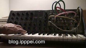 Korg MS-20 drizzle loop #korgms20