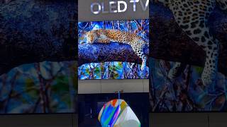 Biggest Offer On LG OLED TV At Just 25000 Rs? trending  technology tv shorts youtubeshorts ai