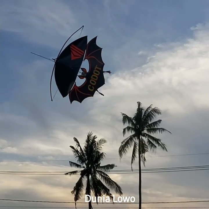 Pasukan Layangan Kelelawar