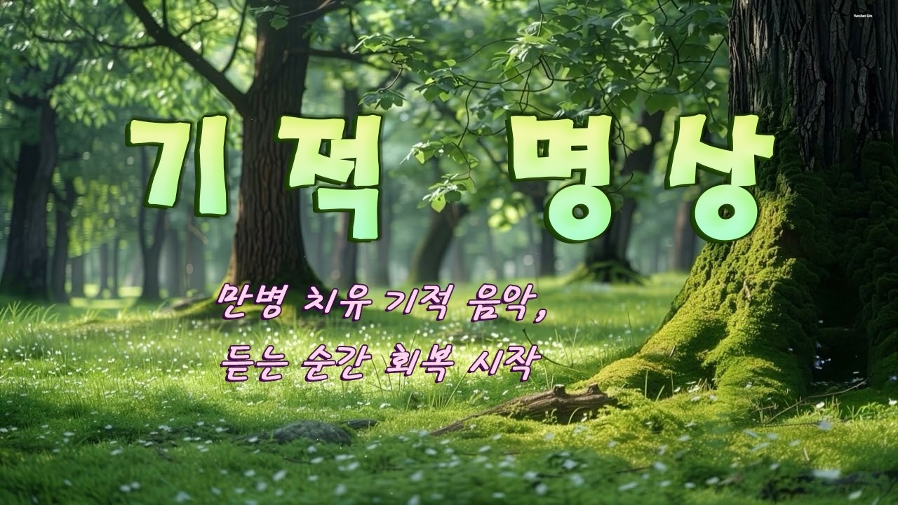 하루 10분 기적을 만드는 명상음악연속듣기 - 만병 치유 기적 음악, 듣는 순간 회복 시작, 잠들기 전 필수 음악