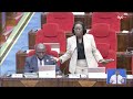 MAREKANI INAONDOAJE VISA KWA VIONGOZI CCM BILA KUWAHOJI SIYO JAMBO JEMA ESTER BULAYA 