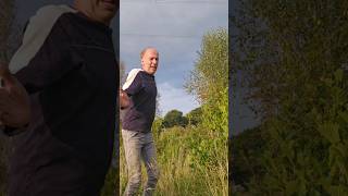 What Can I Grow Under Pylon Wires permaculture orchard adventure gardendesign ideas garden