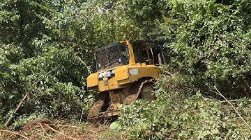 Effective Steps of Bulldozer D6R XL to Clear Plantations