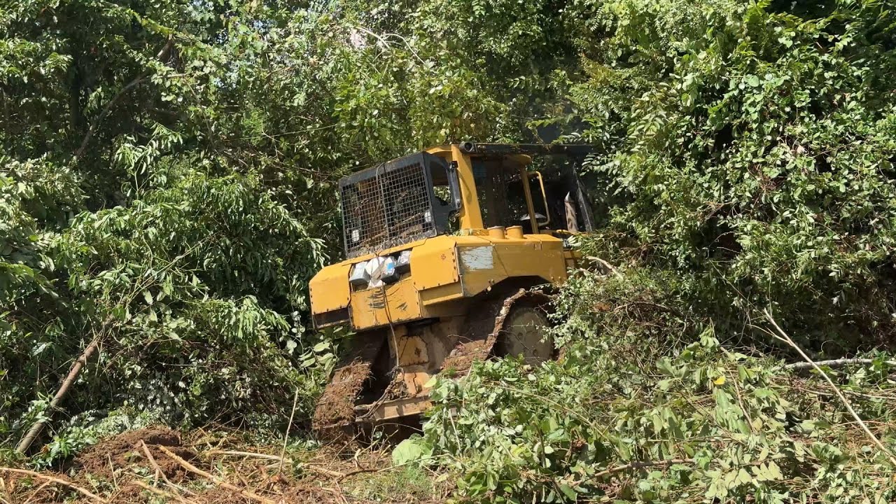 Effective Steps of Bulldozer D6R XL to Clear Plantations - YouTube