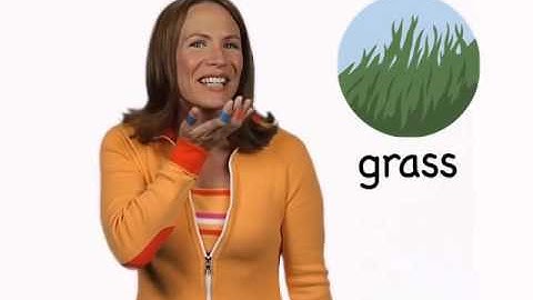 grass