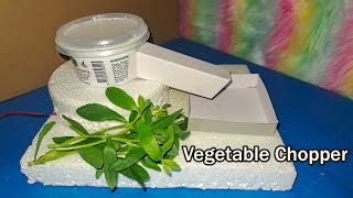 DIY DC Vegetable Cutting Machine | Simple Science Project 3