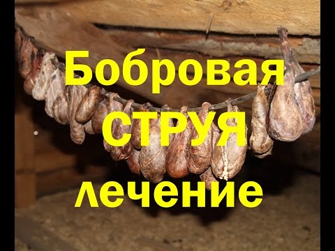 бобровая струя от сахарного диабета бобровая струя от сахарного диабета