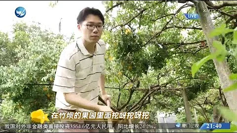 【两岸】好样的，鹭岛台青(一)「杨桃一哥」谢东佑：扎根大陆乡村振兴沃土 唱响台青版《挖呀挖呀挖》 - 天天要闻