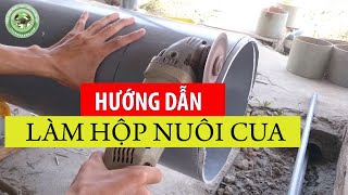 Top 10 cách làm hộp nuôi cua biển đặc sắc nhất năm 2022