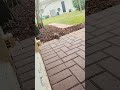 Look Who Showed Up Today. #squirrels #squirrel #wildlife #pets