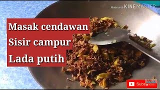#kehidupankampung #kodop                                      Masak cendawan sisir campur lada putih