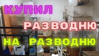 видео: Приобрел кучу оргстеклянных банок и всякое прилагающееся к ним полезное барахлишко. картинка: Приобрел кучу оргстеклянных банок и всякое прилагающееся к ним полезное барахлишко.
