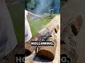 Giant Log Boat FIRE Building Process #shorts