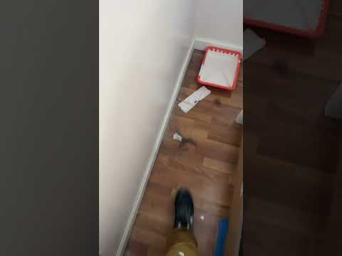 Вот почему Американцы ходят в обуви дома