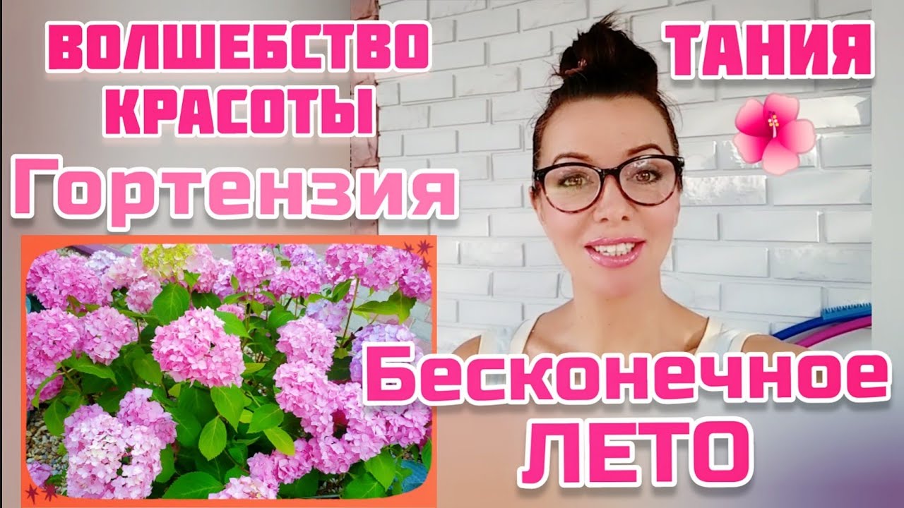 ГОРТЕНЗИЯ *БЕСКОНЕЧНОЕ ЛЕТО* - YouTube